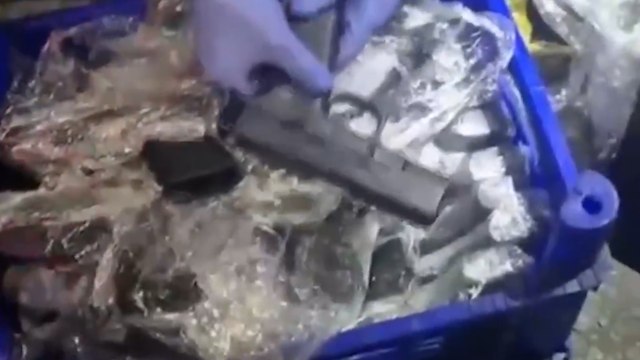 Organize suç örgütlerine operasyon