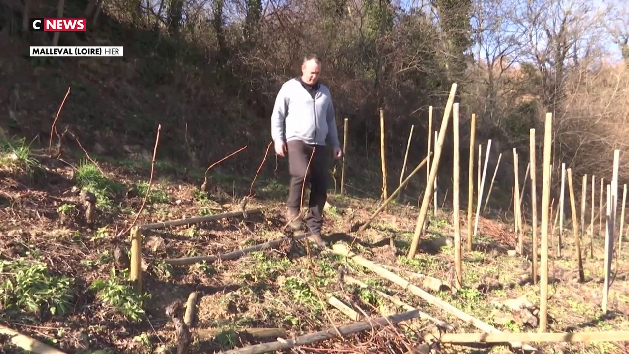 Côtes-du-Rhône : un vignoble fait face aux incivilités