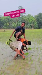 MD Akhlas Uddin - ডিজিটাল ঘোড়া দিয়ে ধান চাষ _hawatull _Akhlas _fypシ゚viralシ _reelsviralシ _ভাইরাল