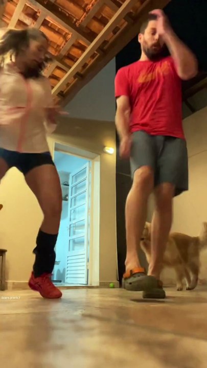 Funniest Reactions Ever: Pranks That Went Too Far