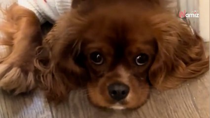 Il surprend une ombre en train de l'espionner dans la cabine d'essayage : 5,5M de personnes sont sous le choc (vidéo)