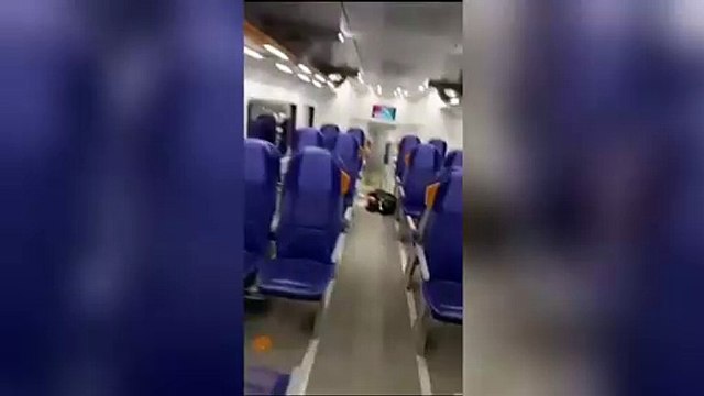 Il treno vandalizzato dai tifosi del Mantova diretti a Modena, Tper presenta denuncia: «Danni e ritardi per i passeggeri»