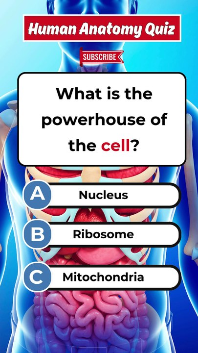 "Guess the Correct Answer! 🤔💡 Test Your Knowledge! #Quiz #Shorts"
