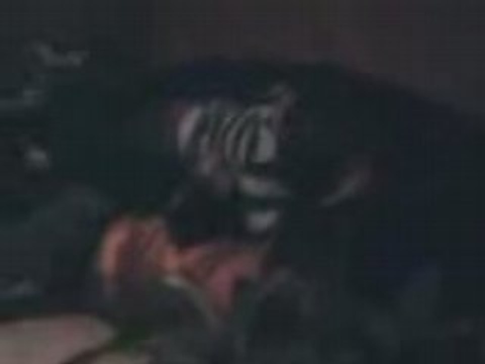 VID021