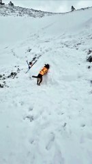Clever dog 'rescues' person buried under snow