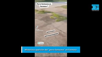 Misteriosa aparición del "perro fantasma" en Formosa