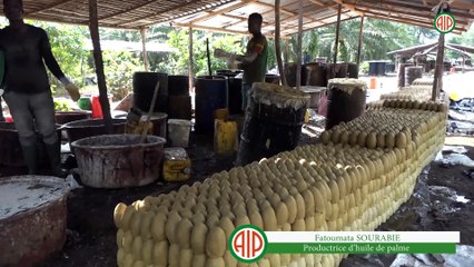 Région-Aboisso / Diatokro : Guerrières de l’avenir, entre résilience et lutte contre la précarité