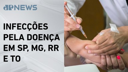 Ministério da Saúde alerta para aumento de casos de febre amarela