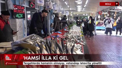 Bolu'da tezgahlarda hamsinin olmayışı, vatandaşı istavrite yöneltti