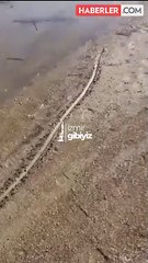 Ege'deki depremler sonrası İzmir'den gelen görüntü tedirgin etti