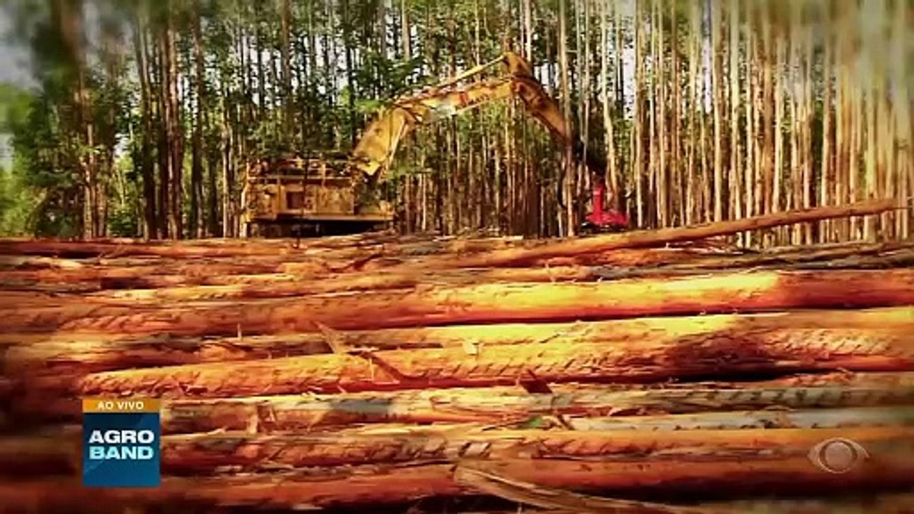 Giro Brasil: assista aos destaques do agro nesta segunda-feira (3)