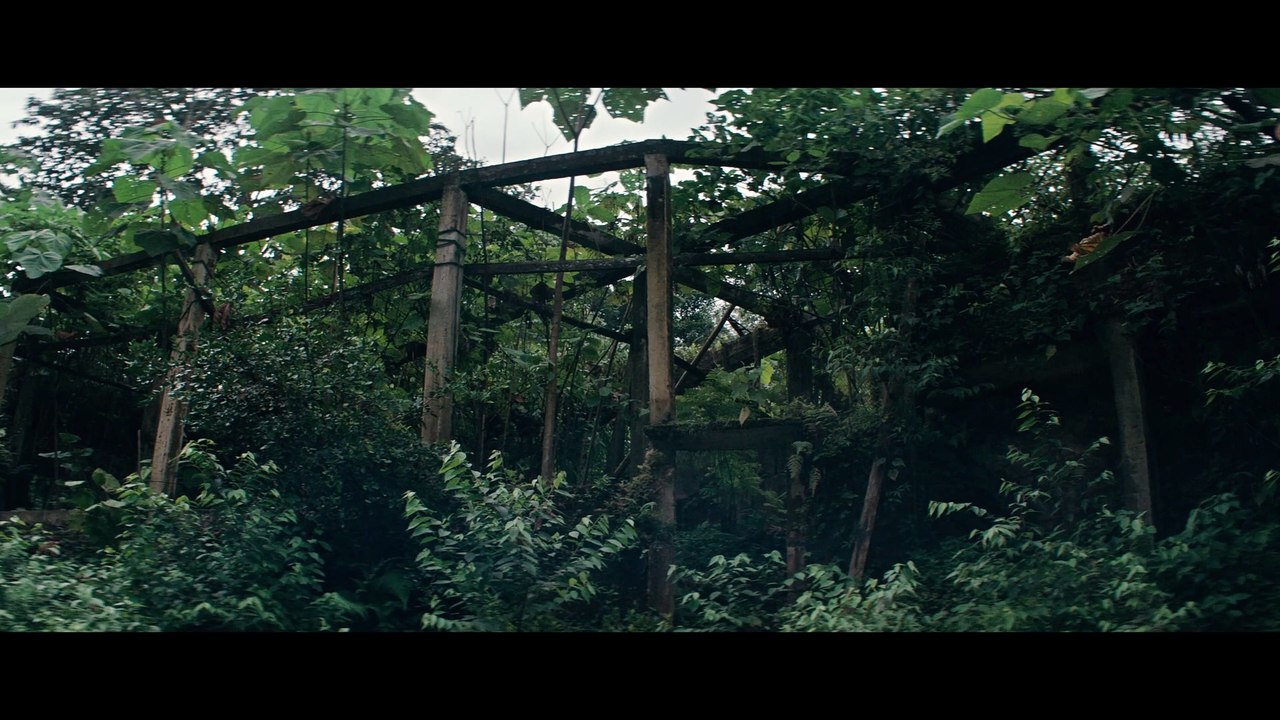 J'ai vu trois lumières noires Bande-annonce VO STFR