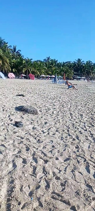 PLAYA JUAN DOLIO PROVINCIA SAN PEDRO DE MACORIS REGION ESTE REPUBLICA DOMINICANA.
