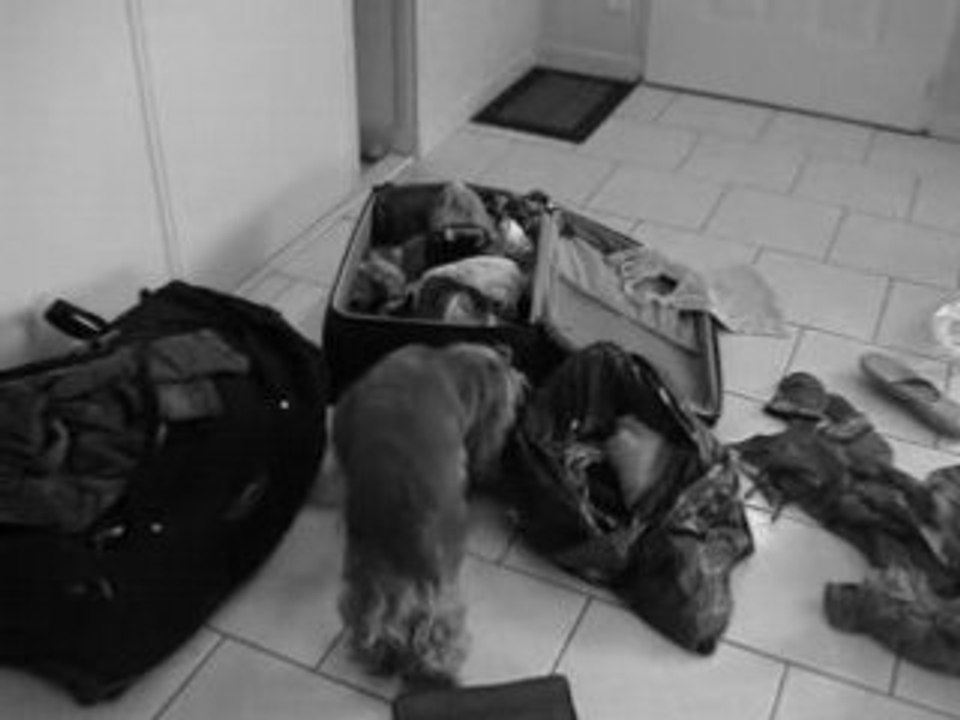 Tinou et Doudou.. rencontre!!