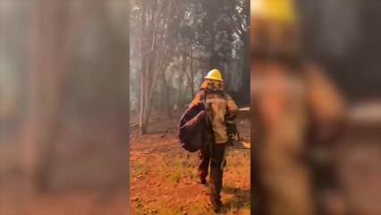 Los incendios azotan la Patagonia