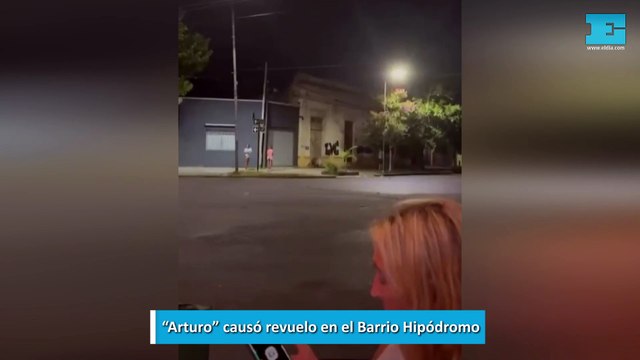 “Arturo” causó revuelo en el Barrio Hipódromo