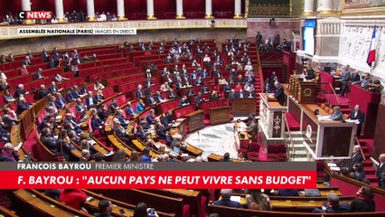 Budget 2025 : François Bayrou déclenche le 49.3