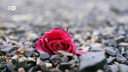 A Visit to Auschwitz-Birkenau – the Death Factory of the Holocaust