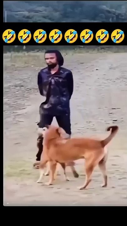 Video_Lucu_#funny😄😄😄😄
