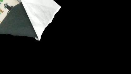 (Guilherme Florentino Produções)