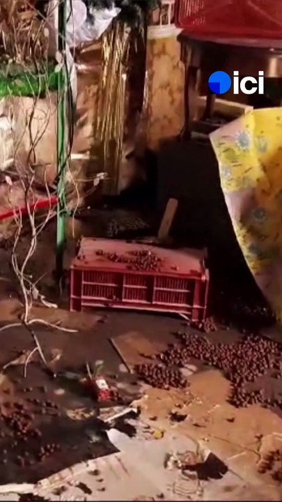 Après la décrue, les sinistrés de Saint-Nicolas-de-Redon découvrent l'ampleur des dégâts