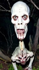 "Scary Face: Transcending Fear"