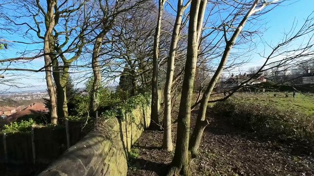 Fruit Works tree planting in Armley: New trees for Leeds