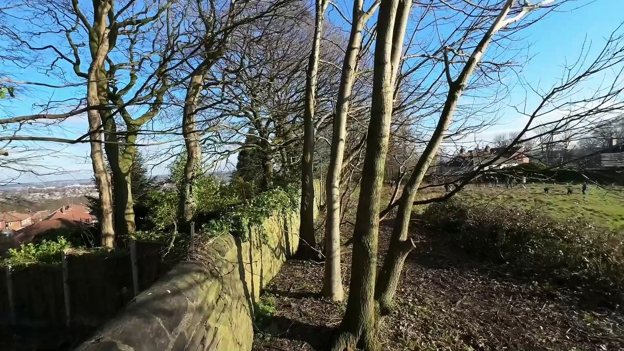 Fruit Works tree planting in Armley: New trees for Leeds