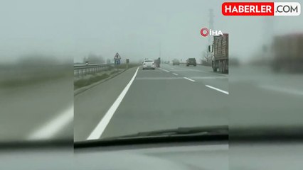 Akyazı'da D-140'a Çıkan Atlar Görenleri Şaşırttı