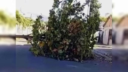 Al menos 18 detenidos por invasión de terrenos en Navarrete