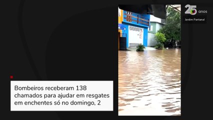 Deslizamentos, desalojados e morte: em dois dias, já choveu 65% do esperado para fevereiro em SP