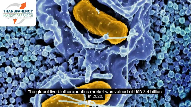 Live Biotherapeutics: Transforming Treatment for GI, Metabolic, and Dermatological Disorders