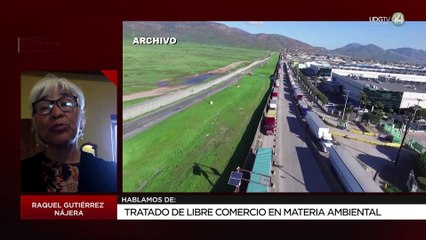 Tratado de Libre Comercio en materia ambiental | Raquel Gutiérrez Nájera