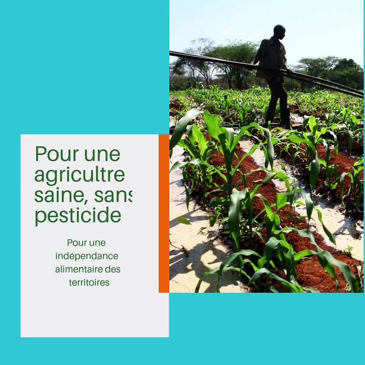 Ecologie