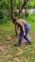 Easy ways to upgrade your yard!