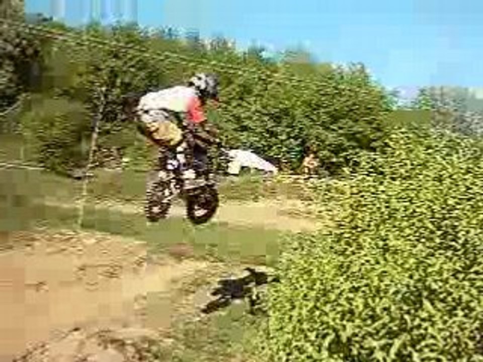 test sau
