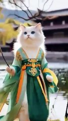 Viral video for Daily motion || funny video #viral