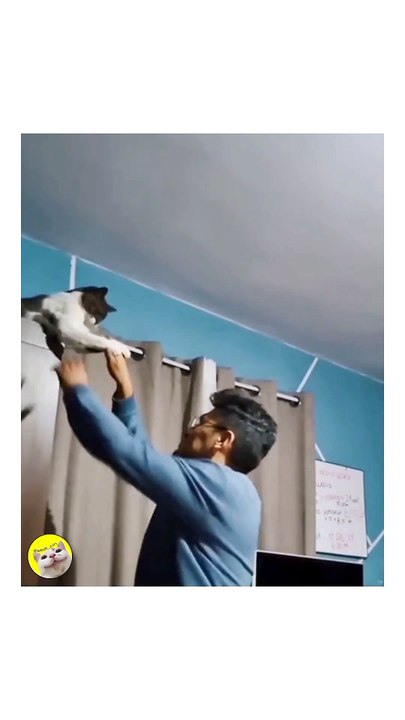 قطه شجاعه🥸