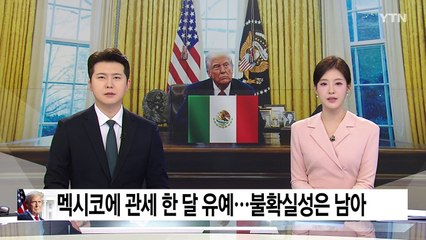 트럼프, 멕시코 관세 한 달 유예...불확실성은 남아 / YTN