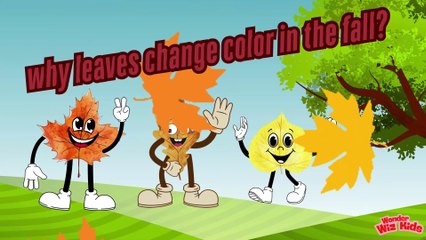 Fall Magic Explained! 🌳 Why Leaves Turn Red, Orange & Yellow! #scienceforkids #funlearning