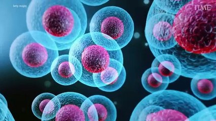 FDA Approves the First Non-Opioid Pain Medicine in 20 Years
