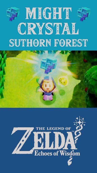 The Legend of Zelda: Echoes of Wisdom | Might Crystal | Suthorn Forest