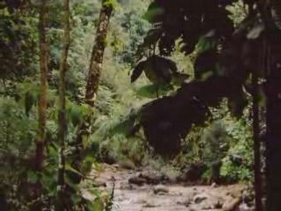 GUADELOUPE 01 2005