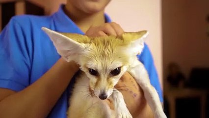 My best friend: Not your typical companion pet