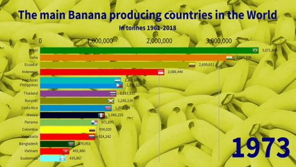 2 - The main Banana producing countries in the World 1961-2018