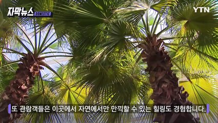 [자막뉴스] 한파에도 '후끈'...온실 찾는 시민들 / YTN