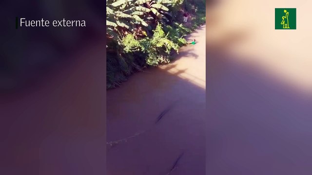 Conductor que alegadamente transportaba haitianos ilegales se lanzó a un canal para evitar ser detenido