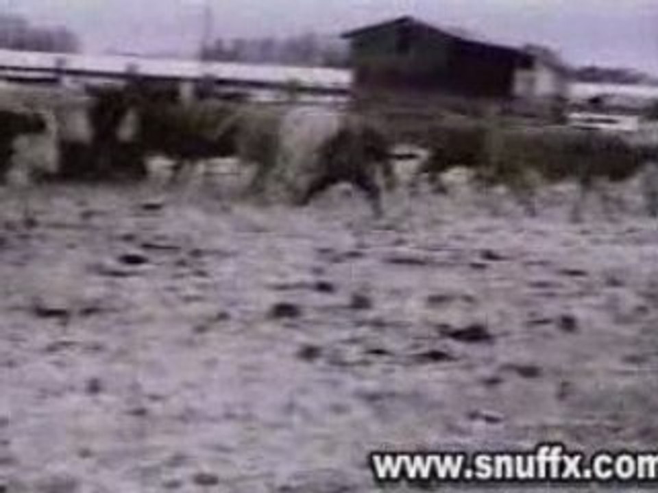 Ski en roumanie