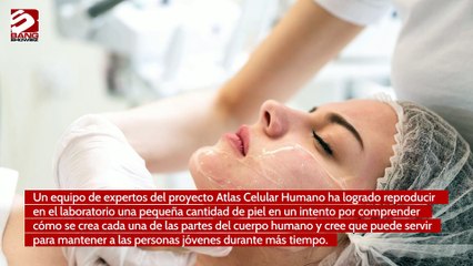 La reproducción de la piel podría combatir los signos del envejecimiento