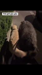 Why is my figure so flattering 😆